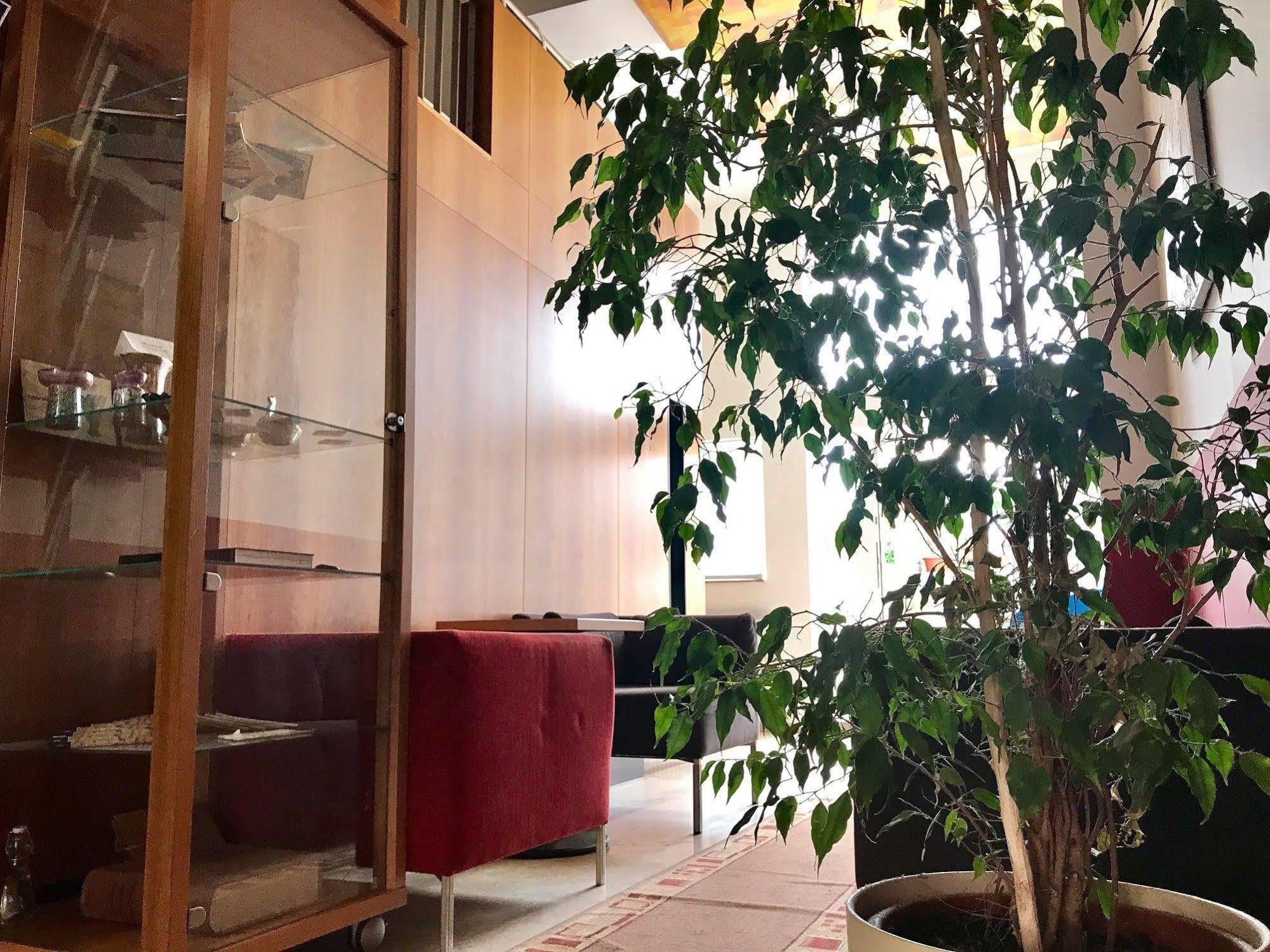 Hotel Maxim Svätý Jur المظهر الخارجي الصورة